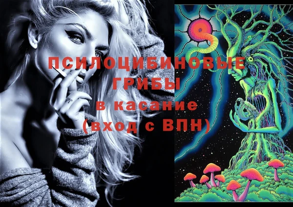мяу мяу мука Елабуга