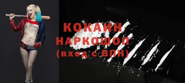прущий лед Ельня
