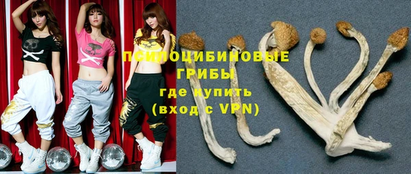 a pvp Заводоуковск