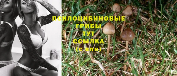 каннабис Заволжск